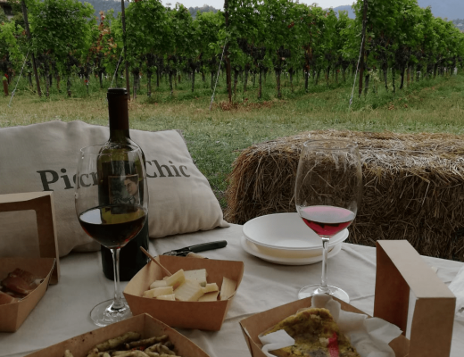 picnic con prodotti tipici sui colli di Bergamo di fronte ai filari di vite