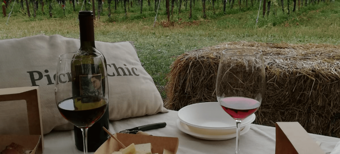 picnic con prodotti tipici sui colli di Bergamo di fronte ai filari di vite