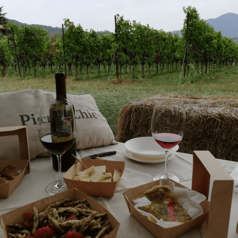 picnic con prodotti tipici sui colli di Bergamo di fronte ai filari di vite